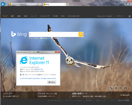 Windows7　64bit Internet Explorer 11の外観